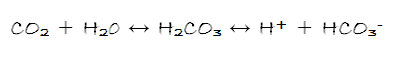 CO2trans_eq3.png